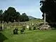 A stone cross and steps next to a yew tree in a graveyard, with a field with sheep in the background