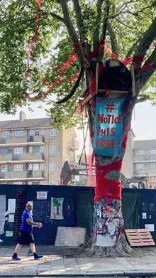 Protest materials on and around the tree as building work is ongoing in the background.