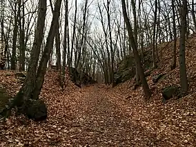 The Larkin Trail in Whittemore Glen State Park in Naugatuck Connecticut.