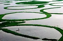 Loktak Lake in Manipur