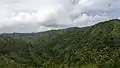 The Mambilla Plateau