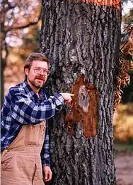 Photograph of person pointing to spore mat