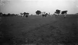 Photograph of British officers playing polo