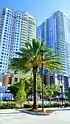 The Strand And The Peninsula high rises