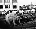 Unloading the DT&I train in Springfield, Ohio in 1920