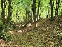 The ditch and bank at Roddenbury Hillfort.