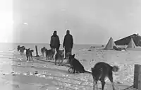 The dogs tethered out at "The Grottoes". All nine of the western base dogs are shown