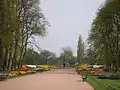 Flower display in the park