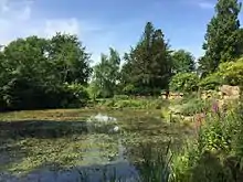 The pond at Swaylands