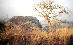 The sacred mountain of Mogode, place of the primordial habitation. Kapsiki