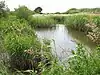 Hardley Flood