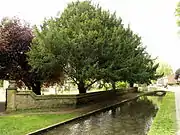 Former mill pond, Welton green (2007)