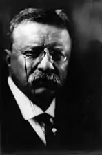 Theodore RooseveltUS President