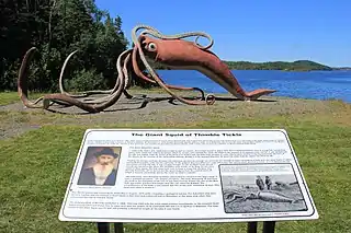 Sculpture with accompanying information plaque detailing the specimen's history and recognition by Guinness