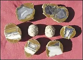 Thundereggs from Ochoco Mountains