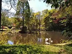 Pond at Tilling Springs