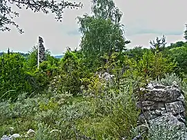 The ruins of the mosque in the village