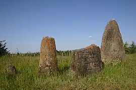 Stelae in the royal cemetery at Tiya