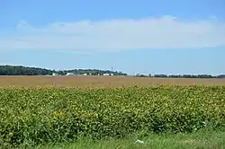 Fields on Toby Road