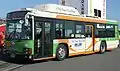 ERGA Non-Step Type-B CNG KL-LV834L1(Custom)