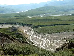 Braided river ecosystem