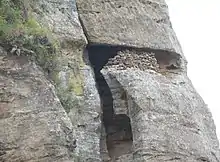 Mouth of a cave, largely sealed off by stacked stones