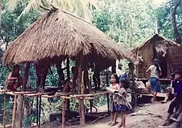 Ifugao, 1988