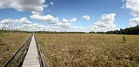 Moszne Marshland (Eastern Poland)