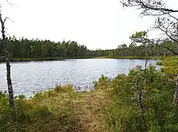 View of lake