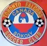 Toronto Falcons (CNSL) team logo