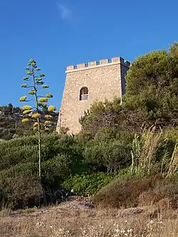 The coastal tower of Caprioli