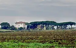 View of the Tower of Trappola