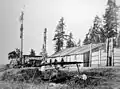 Totem poles, Comox. 1866.