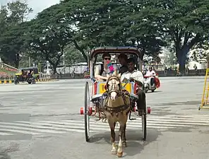 A tanga in Mysore, Karnataka, India.