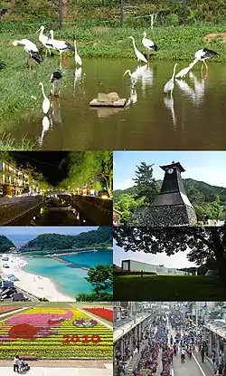 Top: Toyooka Stork Observation Park, Second: A night view of Kinosaki Spa, Izushi Clock Tower (left to right) Third: View of Takeno Beach, Naomi Uemura Adventure Museum (left to right), Bottom: Tantō Tulip Festival, schedule on every April, Toyooka Willow Festival, schedule on every August, (left to right)