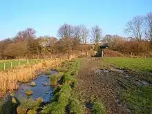 Offham Marshes