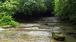 Chunati Wildlife Sanctuary, Bangladesh