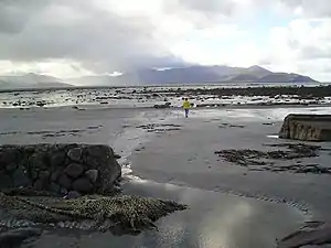 Tralee Bay