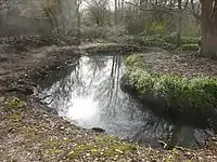 A pond at the Trap Grounds.