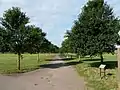 Avenue of 'New Horizon', Pontcanna Fields, Cardiff (2012)