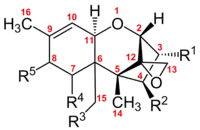 Chemical structure of the trichothecene core