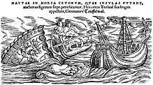 Image 43A whale as depicted by Conrad Gessner, 1587, in his Historiae animalium (from Toothed whale)