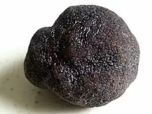 A black Périgord truffle