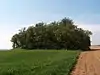 Tumulus van Avernas en het ensemble dat wordt gevormd door deze tumulus met zijn omgeving