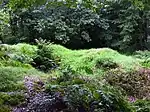 Bowl barrow on Stock Hill: part of the Stock Hill round barrow cemetery