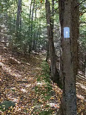 Tunxis "White-Dot" Blue-Blazed hiking trail near Bradley Brook and CT Route 4 in Nassahegon State Forest (Burlington, Connecticut)