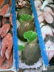 photo of turtles on sale as food in a shop