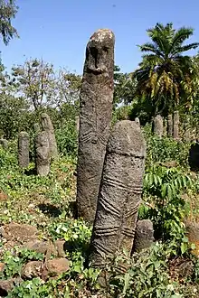 Several columnar stele in tropical vegetation