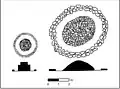 Two types of prehistoric funerary monuments in the Dhar Tagant region of south-eastern Mauritania