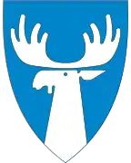 Tynset kommune